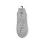 22067EDAY - WHITE