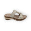 29003 - CREME