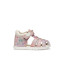 B254WB - ROSE MULTI